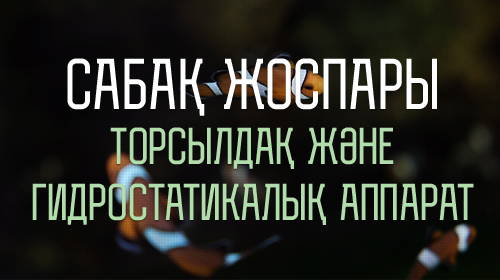 Торсылдақ және гидростатикалық аппарат жүктеу